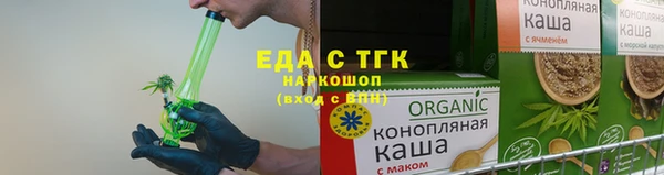 прущие грибы Сосновый Бор
