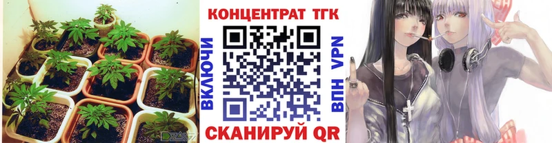 магазин продажи   Ак-Довурак  MEGA ССЫЛКА  ТГК вейп с тгк 