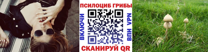 дарк нет состав  Ак-Довурак  Псилоцибиновые грибы Cubensis 